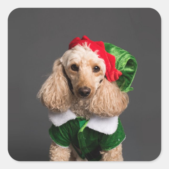 Dog in Elf Costume Square Sticker (Front)