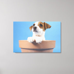 Dog in flowerpot canvas print