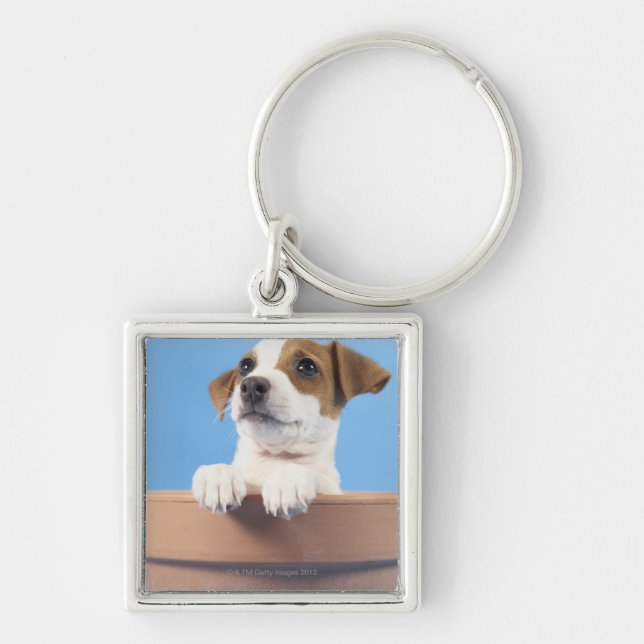 Dog in flowerpot key ring (Front)