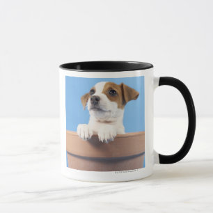 Dog in flowerpot mug