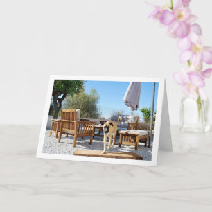 Dog in Garden Card