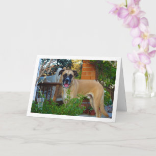 Dog in Garden Portrait Card