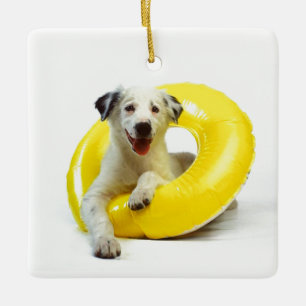 ***DOG IN INNER TUBE*** CHRISMAS ORNAMENT