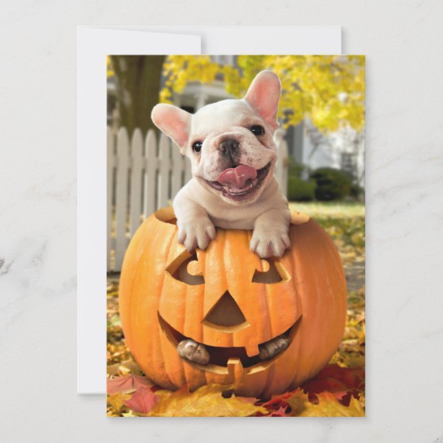 Dog in Jack-o-Lantern Invitation (Front)