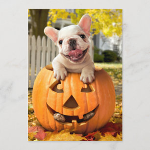 Dog in Jack-o-Lantern Invitation