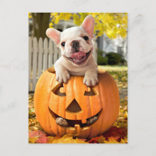 Dog in Jack-o-Lantern Invitation Postcard