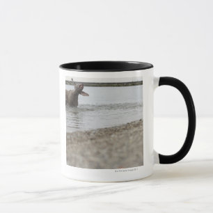 Dog in Lake Shaking Off Water Mug