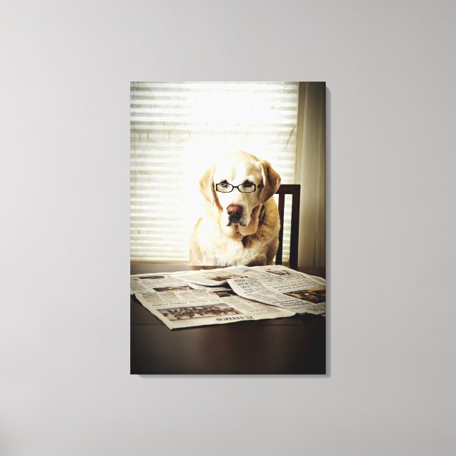 Dog in morning routine canvas print (Front)