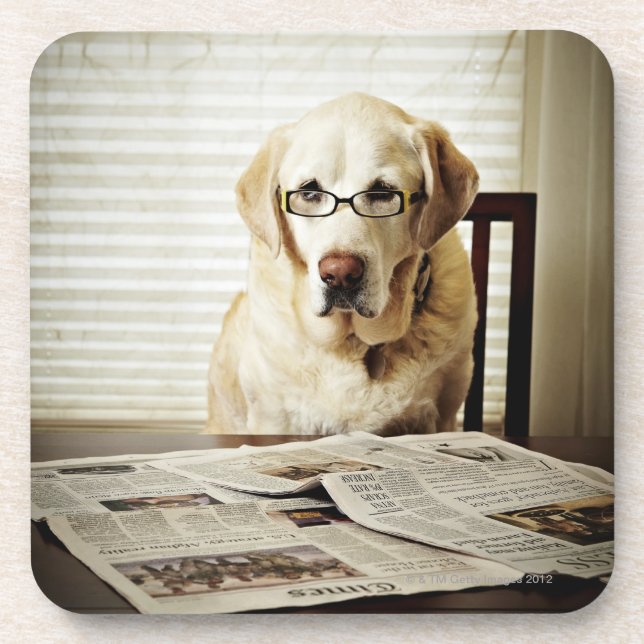 Dog in morning routine coaster (Front)