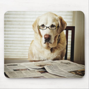 Dog in morning routine mouse mat