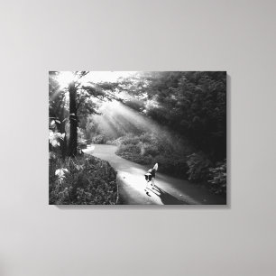 Dog in morning sunlight canvas print