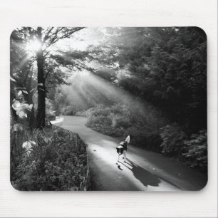 Dog in morning sunlight mouse mat