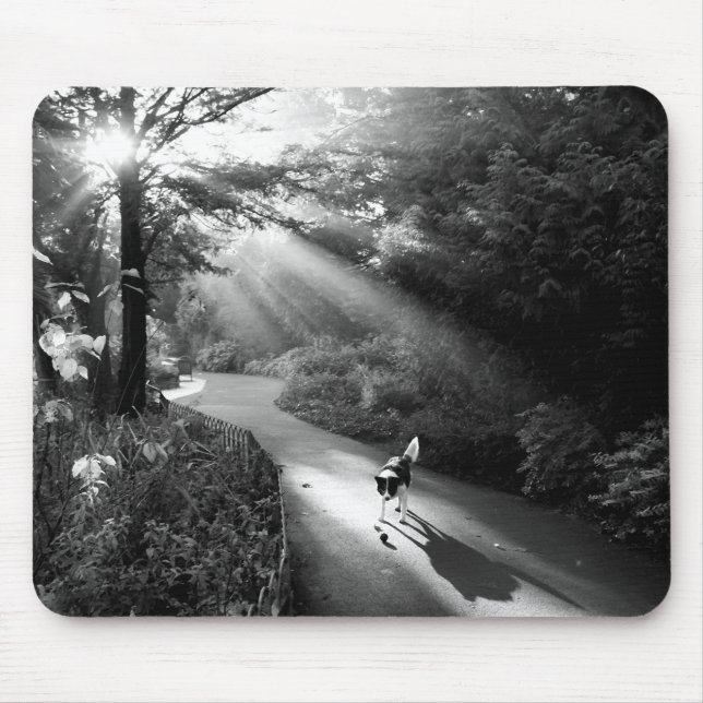 Dog in morning sunlight mouse mat (Front)