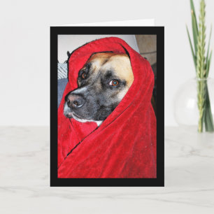 Dog in Red Blanket Portrait Card