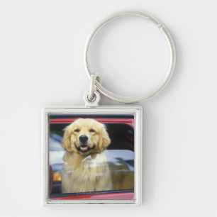 Dog in red car window key ring