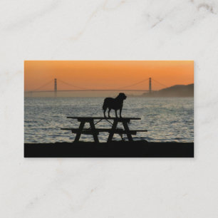 Dog in San Francisco Sunset business cards