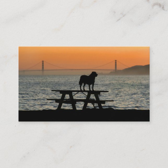 Dog in San Francisco Sunset business cards (Front)