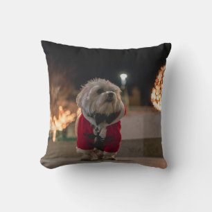 Dog in Santa costume Cushion