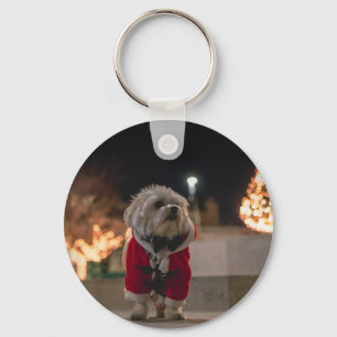 Dog in Santa costume Key Ring