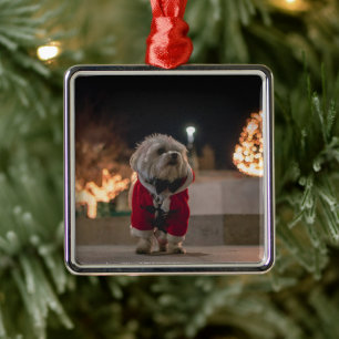 Dog in Santa costume Metal Tree Decoration