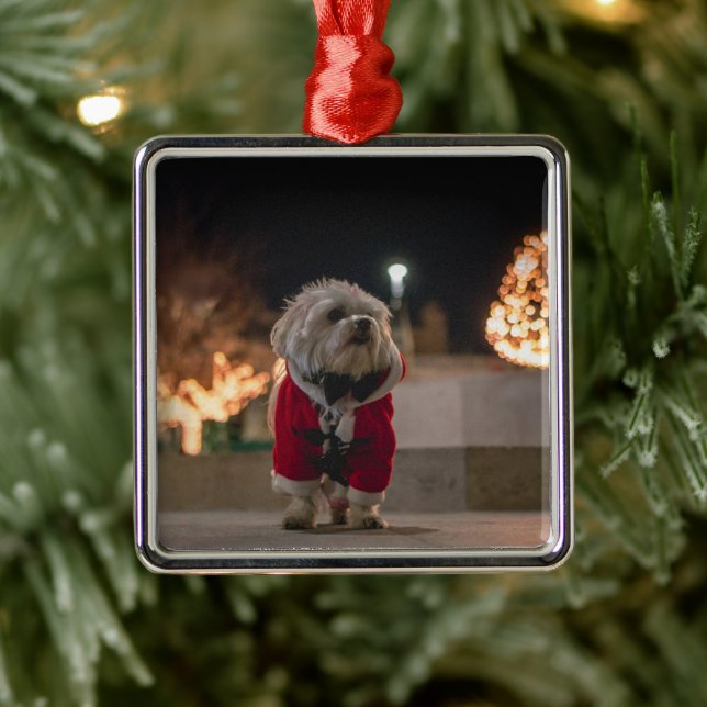 Dog in Santa costume Metal Tree Decoration (Tree)