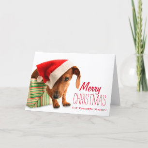 Dog in Santa hat Holiday Card