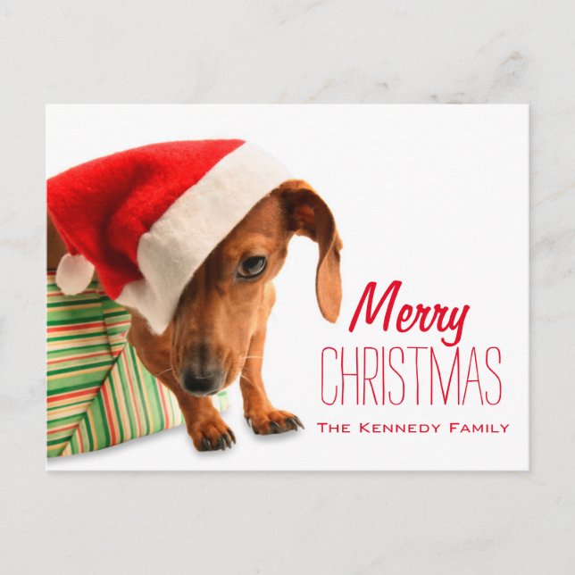 Dog in Santa hat Holiday Postcard (Front)