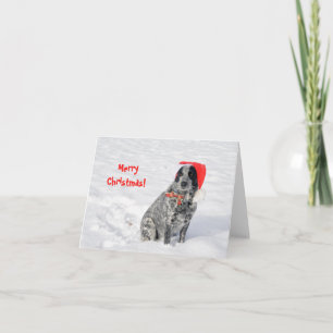 Dog in snow in Santa hat with Merry Christmas! Card