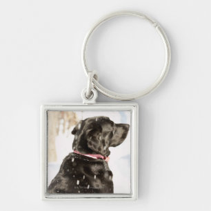 Dog in snow key ring