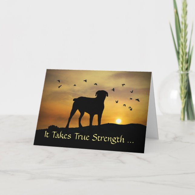 Dog in Sunset Sympathy Put Dog to Sleep Card (Front)
