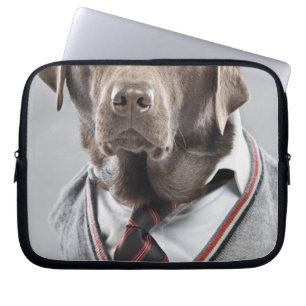 Dog in sweater and cap laptop sleeve