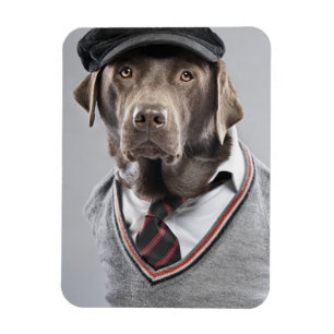 Dog in sweater and cap magnet