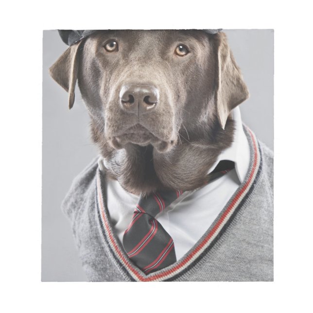 Dog in sweater and cap notepad (Front)