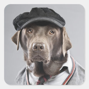 Dog in sweater and cap square sticker