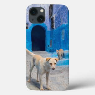 Dog in the Blue City iPhone 13 Case