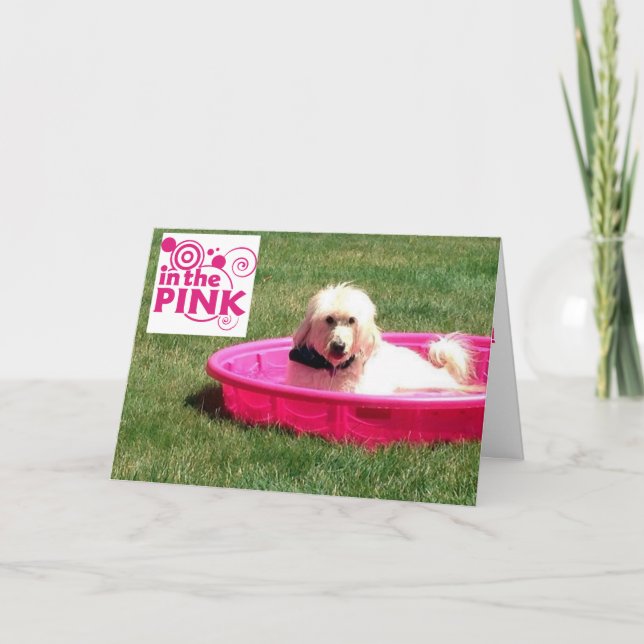 DOG-IN THE PINK/IN THE POOL ON YOUR BIRTHDAY CARD (Front)