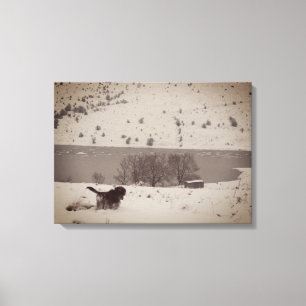 Dog in the Snow Canvas Print