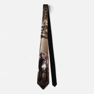 Dog in the woods tie