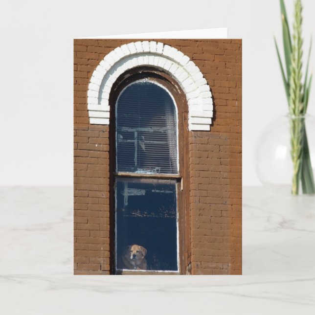 Dog in Window Card (Front)