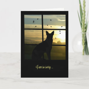 Dog in Window Dog Sympathy Card