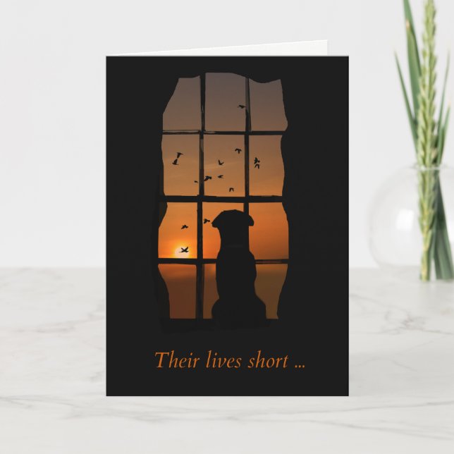 Dog in Window Memorial Card (Front)