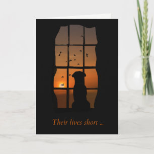 Dog in Window Memorial Card