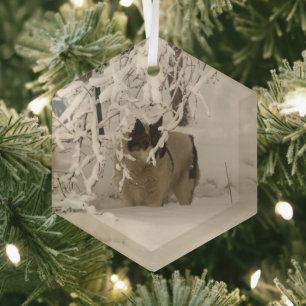 Dog in winter glass tree decoration