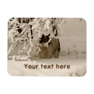 Dog in winter magnet