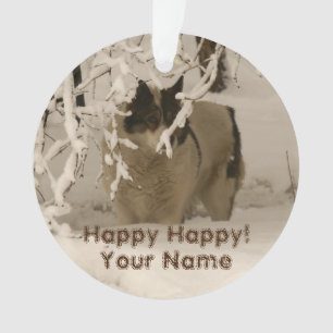 Dog in winter ornament