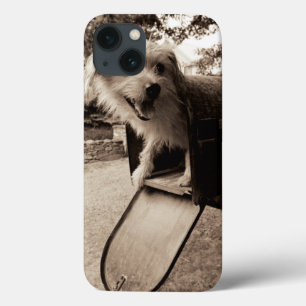 Dog Inside a Mailbox iPhone 13 Case