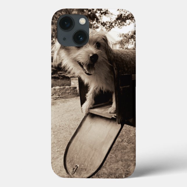 Dog Inside a Mailbox Case-Mate iPhone Case (Back)