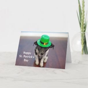 Dog Irish Hat St. Patrick's Day Holiday Card