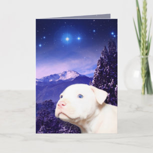 Dog is God spelled backwards... Holiday Card