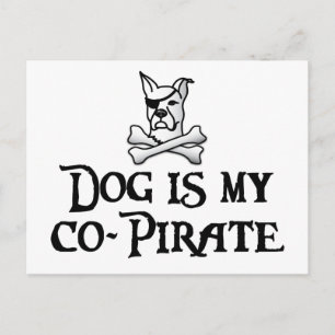 Dog is my co-pirate postcard
